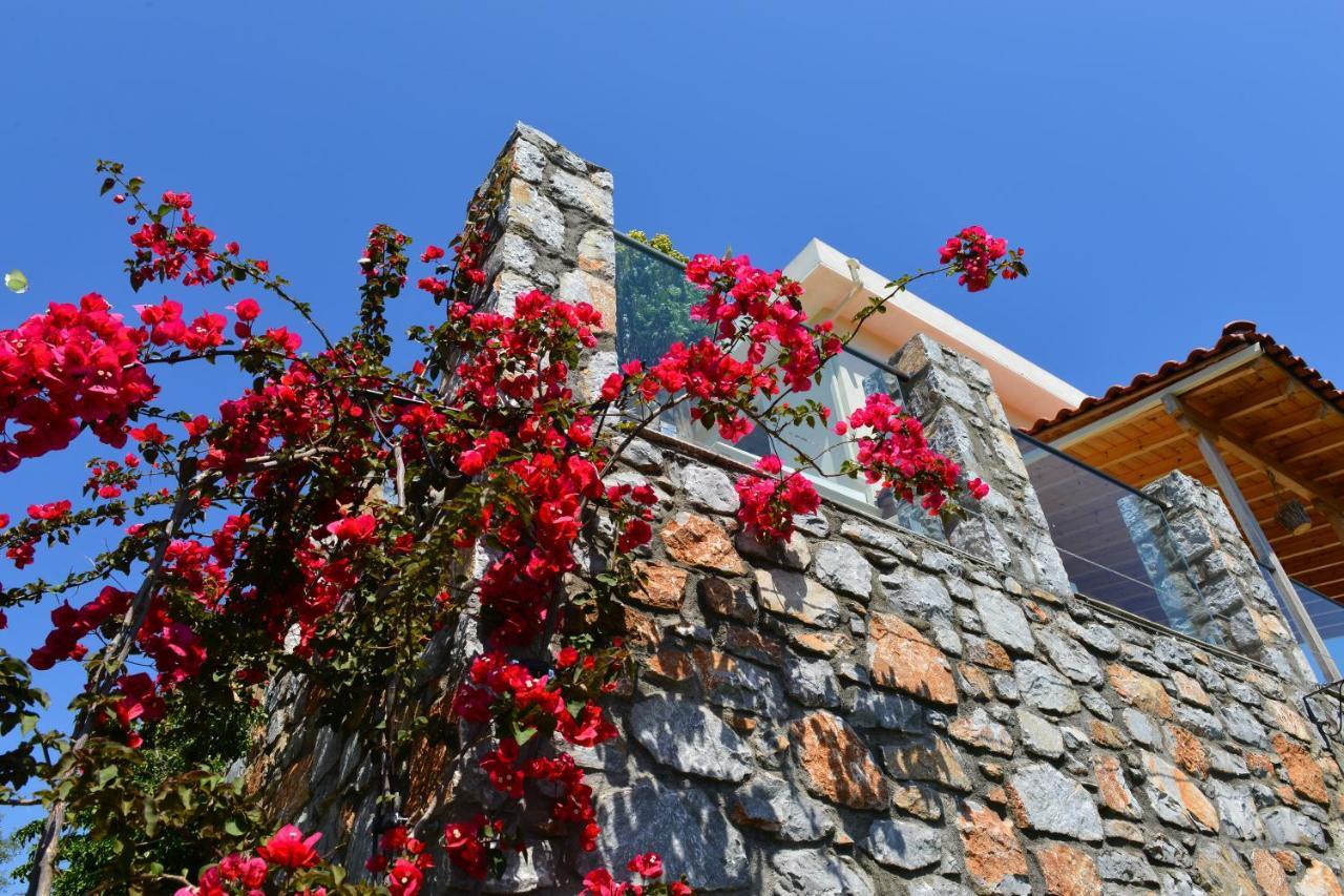 Melina Skiathos Колиос Экстерьер фото