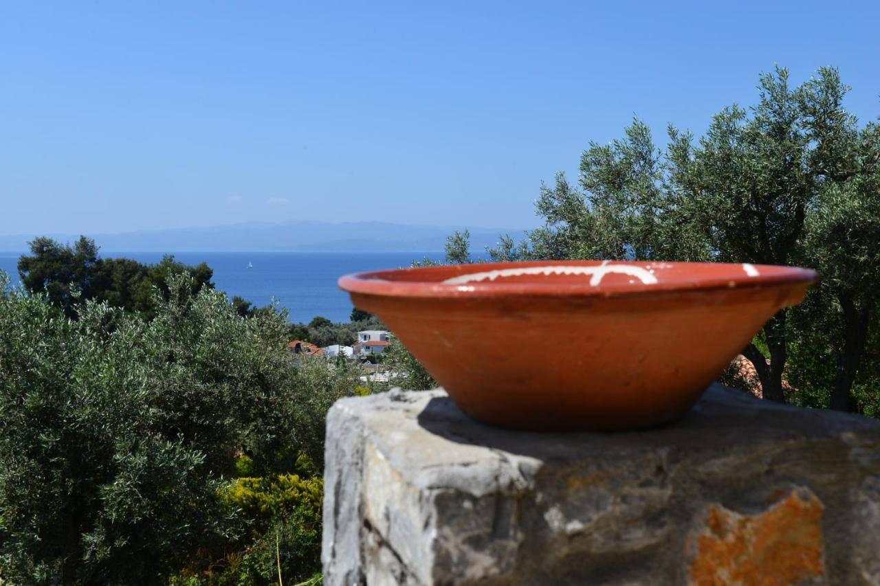 Melina Skiathos Колиос Экстерьер фото